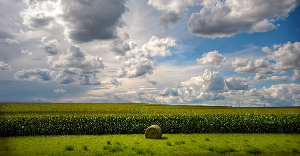 Vumelana Calls For Land Reform To Be Elevated As National Budget Priority