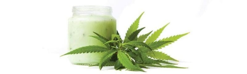 CBD/ Medical Cannabis Oil & Chronic Diseases