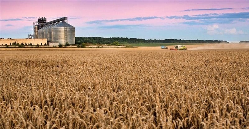 Beer Industry Demonstrates How Sustainability And Economic Growth Can Work Together In South Africa