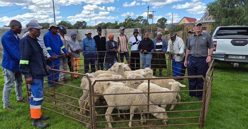Nordex Energy South Africa Expands Livestock for Livelihoods To Unlock Market Value For Farmers