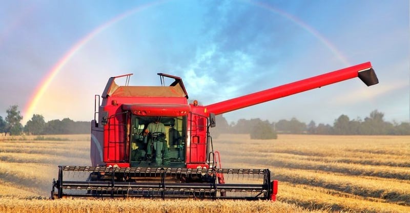 South Africa Celebrates Record Grain Harvest As Farmers Prove Their Resilience And Global Competitiveness