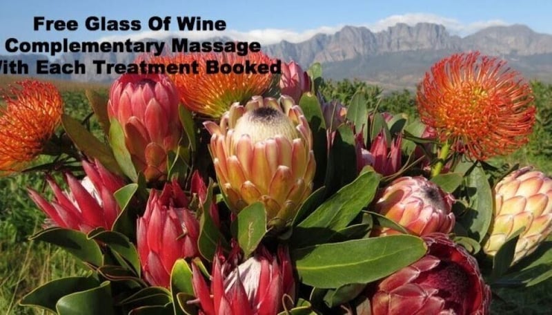 Celebrate Spring Day With A Complementary Massage & Wine From Life Retreat Spa