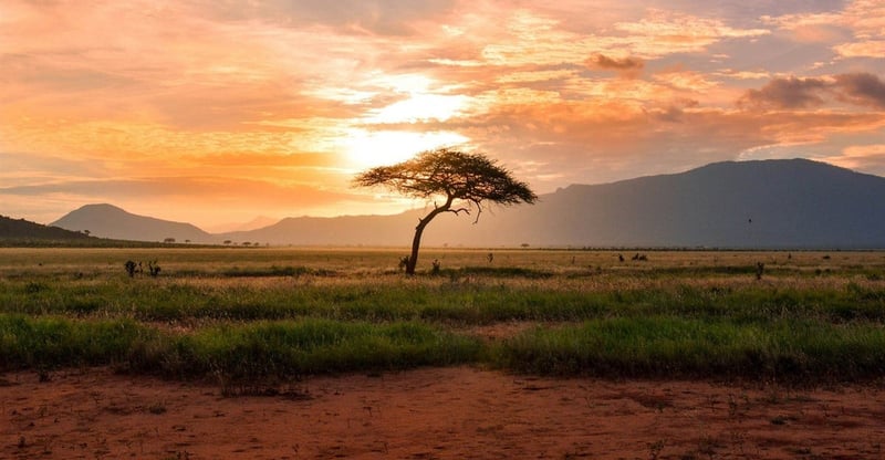 African Universities Called to Lead Climate Research and Knowledge Production on Global Challenges