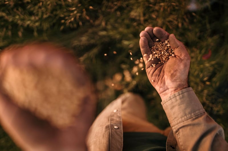 Agriculture challenges in South Africa - we need a different lens