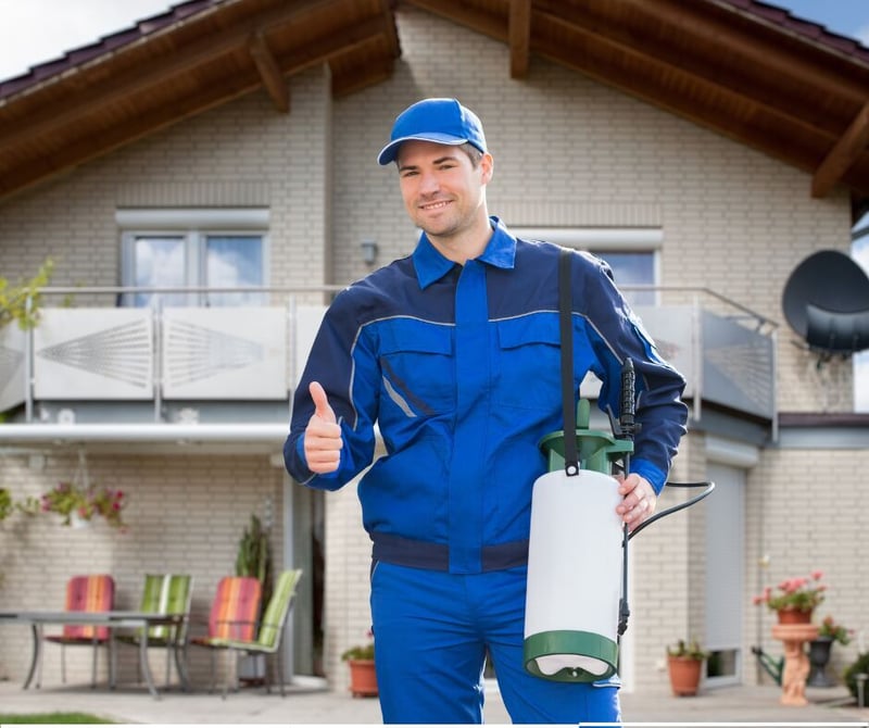 Ensuring Food Safety in Retail - The Crucial Role of Pest Control