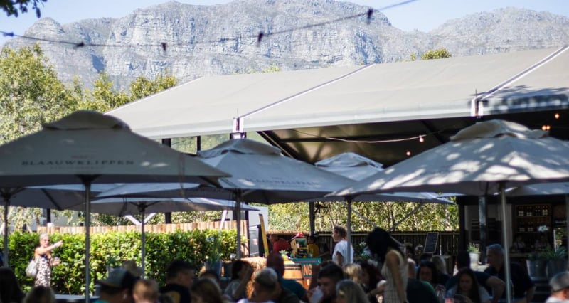 Family Friendly Wine Farms Reshape Weekend Tourism In The Cape Winelands