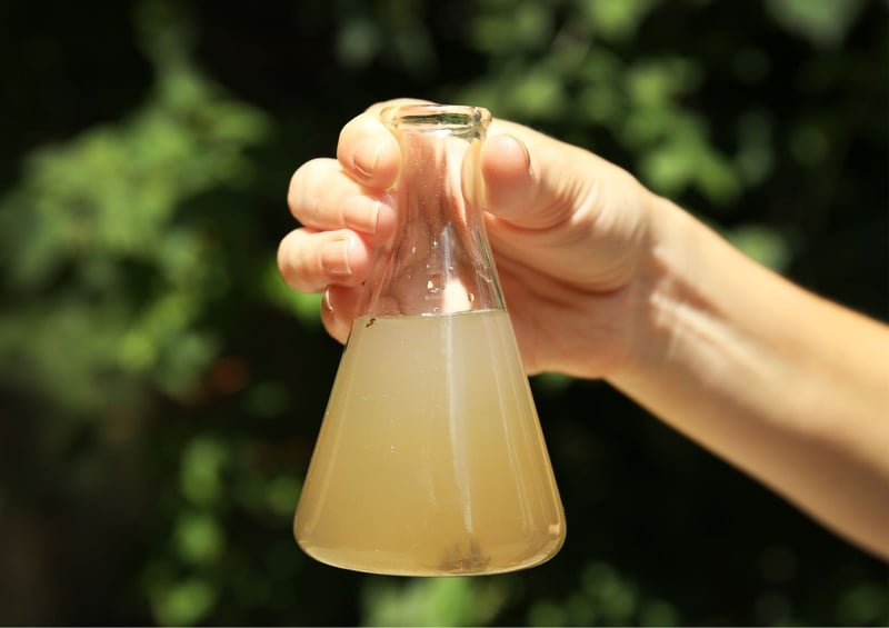 The Vital Role Of Reliable Water Infrastructure In Preventing Cholera Outbreaks - SAPPMA's commitment to quality pipes and infrastructure