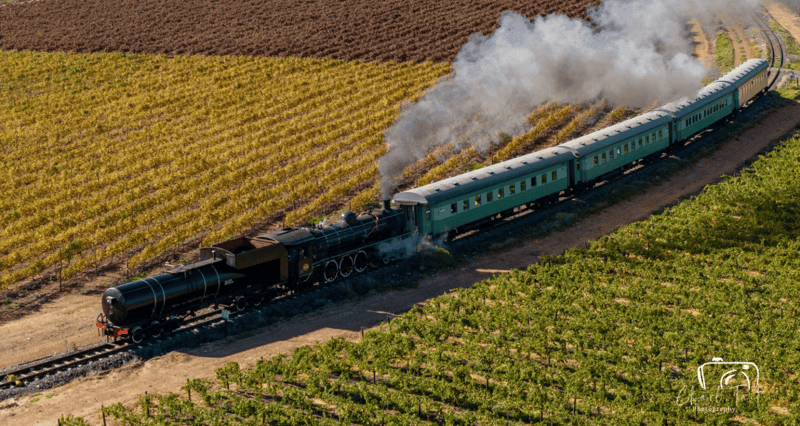 WineLand Media And NCCR Launch 12‑Week Wine Trains Series With Winemakers On Board
