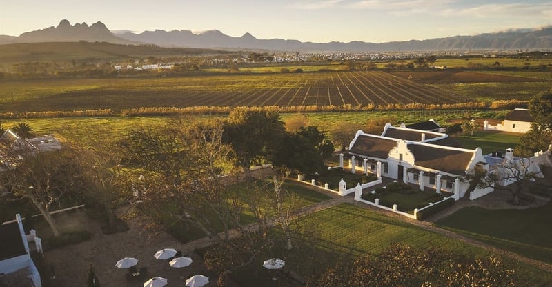 Vergenoegd Löw Estate Showcases Sustainable Wine Tourism In Stellenbosch