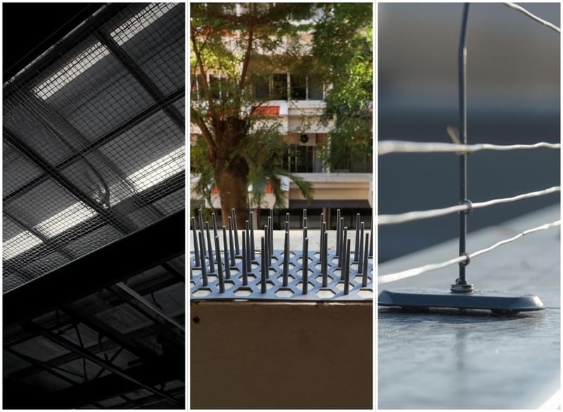 Eco Smart Pest Control Releases Comprehensive Guide on Physical Bird Barriers for Commercial Properties