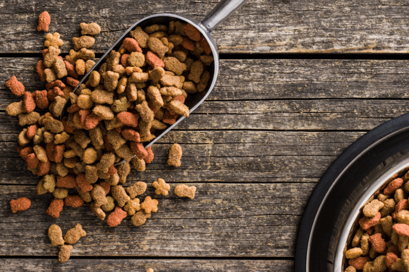 Choosing the Right Pet Food for Your Animals