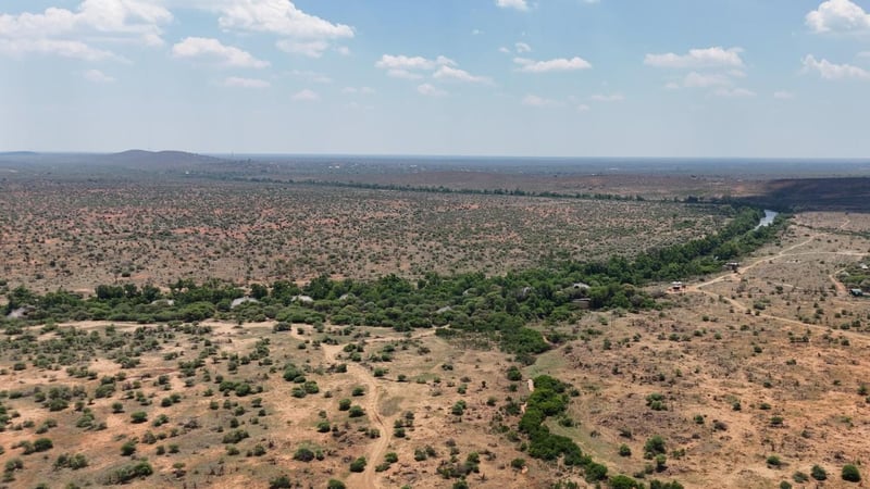 Last Word Makanyane Set To Reopen In July 2026 Bringing New Life To A Safari Favourite