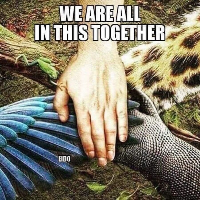 Guidelines for International Mother Earth Day!