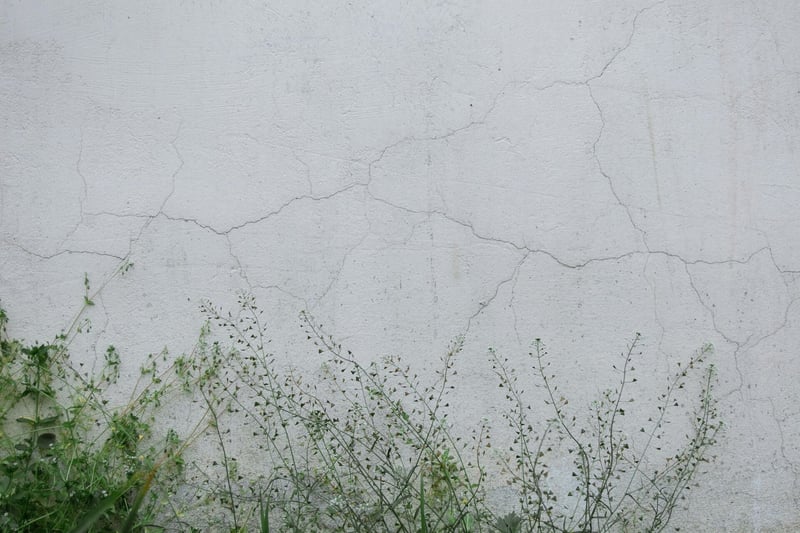 TT Waterproofing Explains the Common Causes of Wall Cracks and Offers Expert Repair Solutions