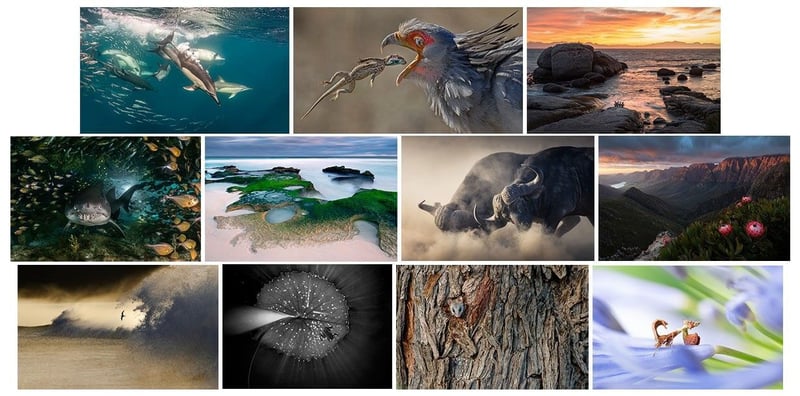 The South African Photographer of the Year competition exhibition