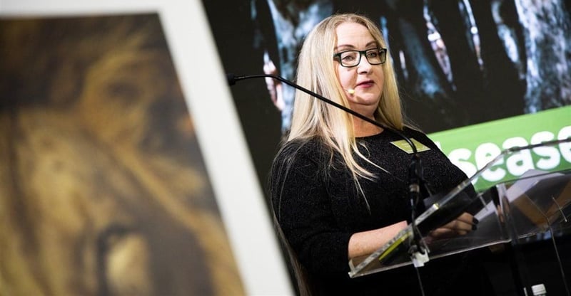 Animal Welfare Leaders Call For Reform And Stronger Protection Systems In South Africa