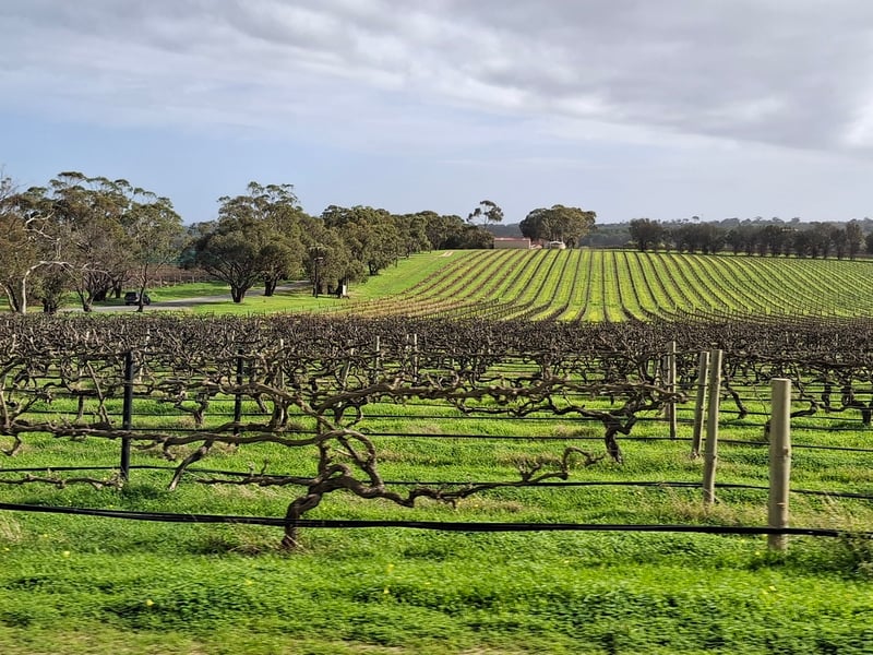 AWITC Bus Tour Explores McLaren Vale Districts and Soil Profiles