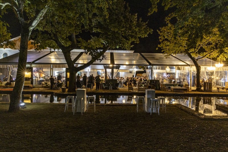 Q&A with Changemakers Honoured at 2026 Wine Harvest Commemorative Event