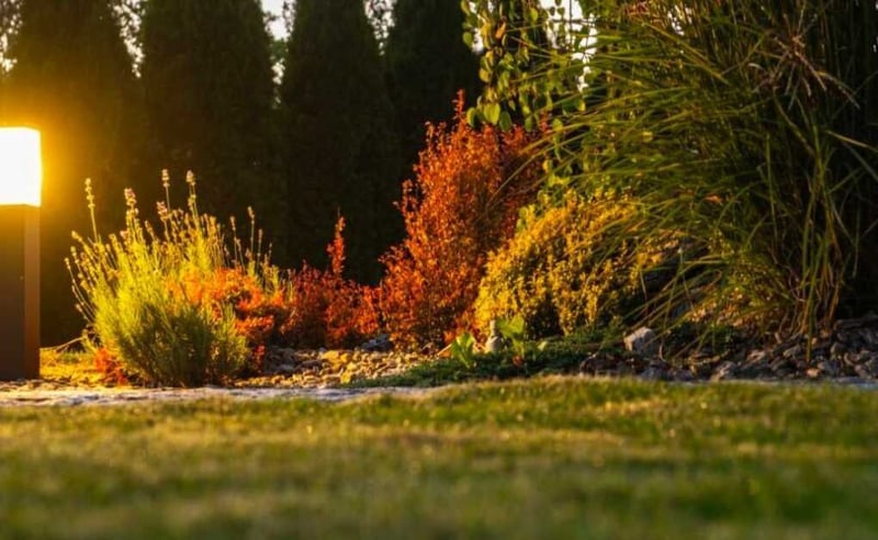 Illuminating the Night - The Evolution and Impact of Outdoor Lighting