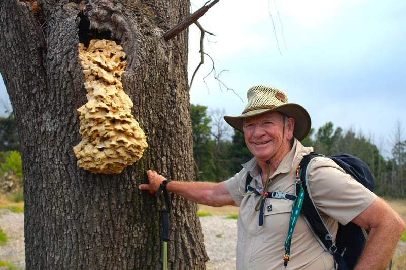 Flora, Fauna and Fine Wine - Vergelegen Launches Guided Hiking Trail