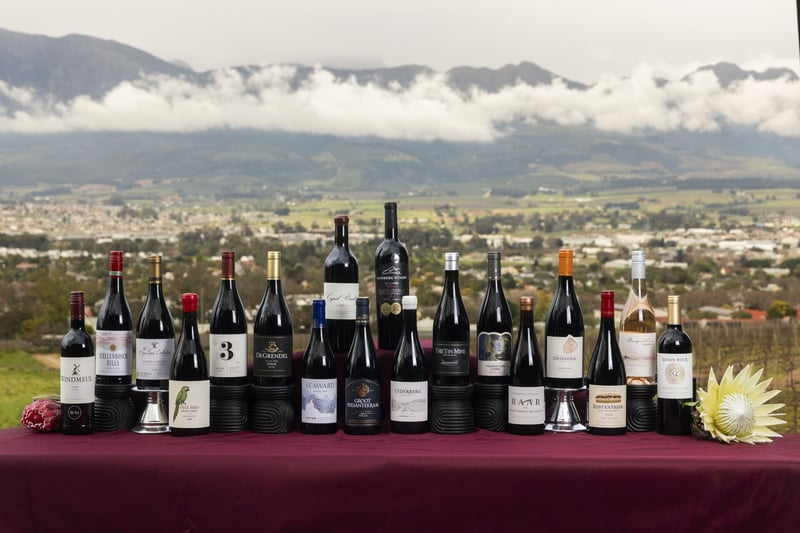 Winners Crowned At 14th Shiraz SA Challenge With 18 Awards Across Rosé Blends And Shiraz