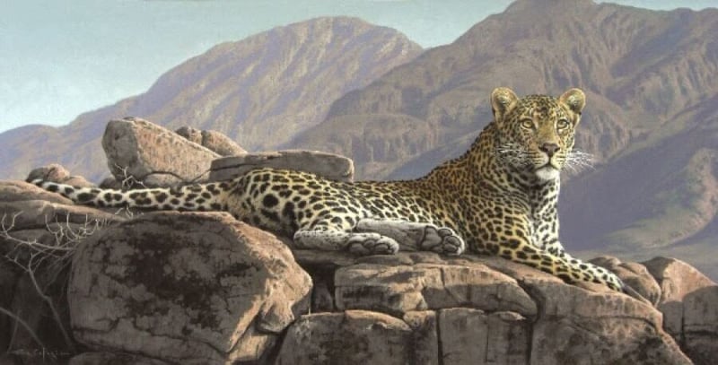 Dining for a cause - The Art Of Conservation