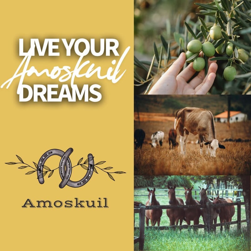 Semigration to the Western Cape rather than Emigration is a growing trend in South Africa