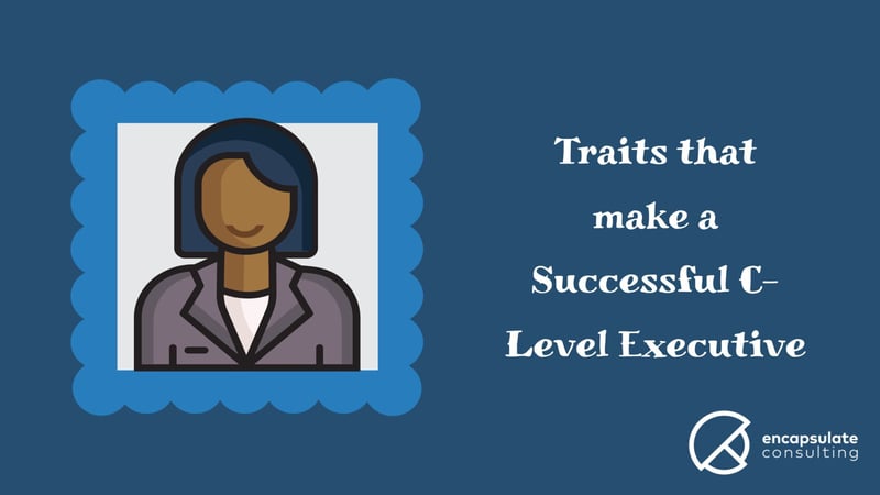 Traits of a Successful C-Level Executive and using Psychometric Assessments