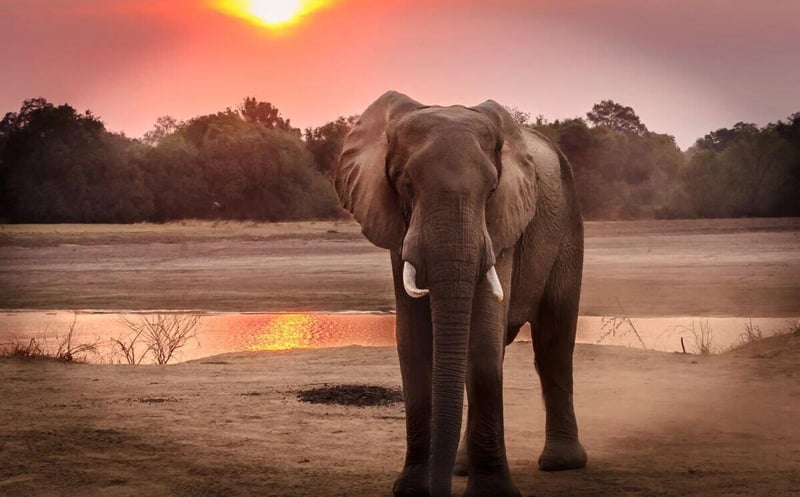 Africana Travel Expands Its Portfolio with Five New Properties for the 2025/2026 Holiday Season