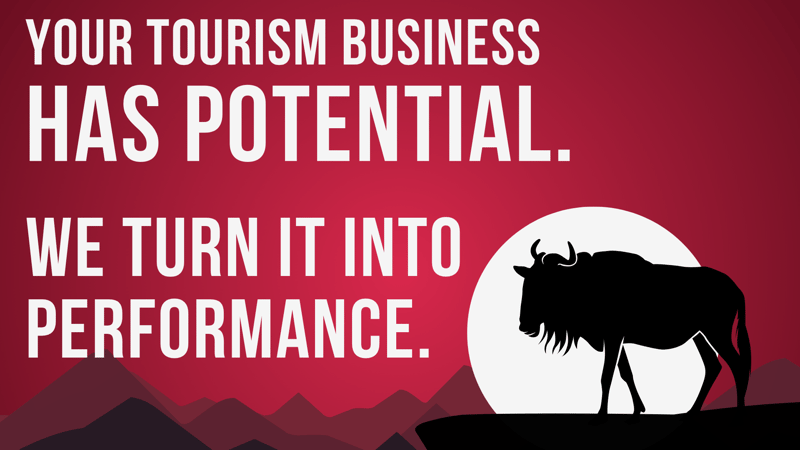WildBeest Media Launches 2026 Tourism Marketing Campaigns Built for More Enquiries