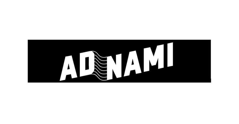 Introducing Media24 Adnami - High-impact Display Advertising Redefined