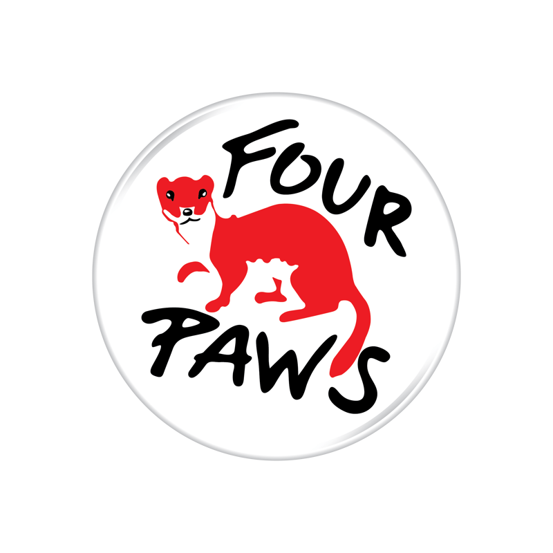 Small Changes, Big Impact - Make Animal Welfare Your New Year’s Priority