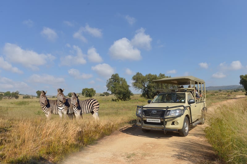 The Bothongo Rhino & Lion Nature Reserve Offers the Perfect Educational Start to 2026
