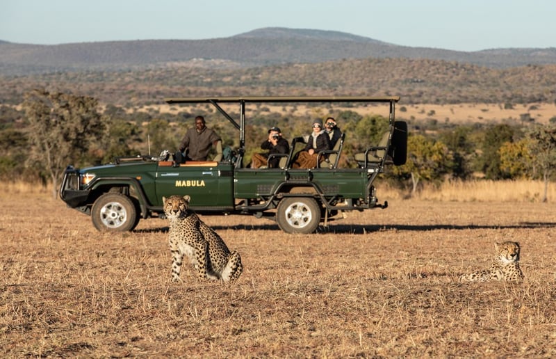 Lions Cricket partners with the Extraordinary Hospitality Group to bring wildlife conservation into schools and stadiums