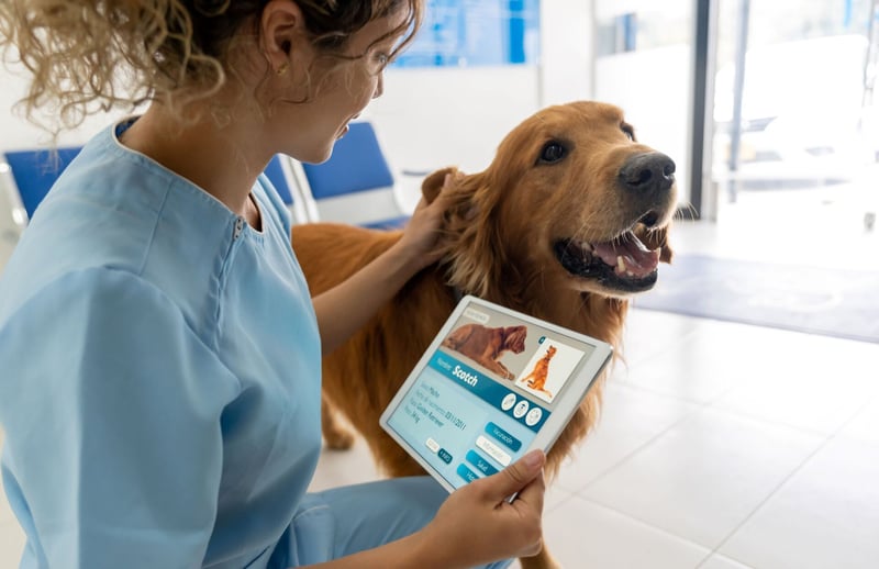 Artificial intelligence (AI) innovations are reshaping animal health diagnostics