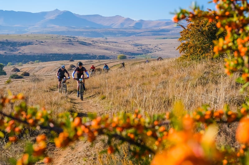 Subaru returns as headline sponsor of the 2026 Amohela MTB Challenge