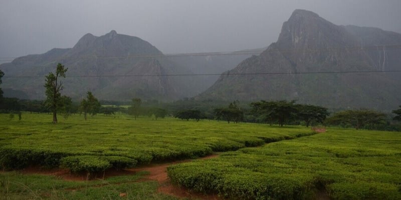 Maputo National Park and Mount Mulanje Join UNESCO World Heritage List in Prestigious Move