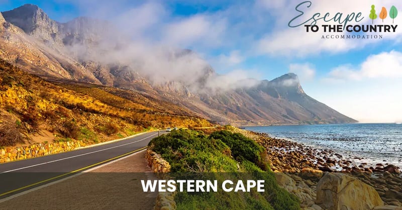 Western Cape Continues to Lead as One of South Africa's Favourite Holiday Destinations