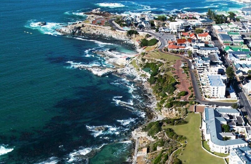 Whale-watching from your hotel room at The Marine!