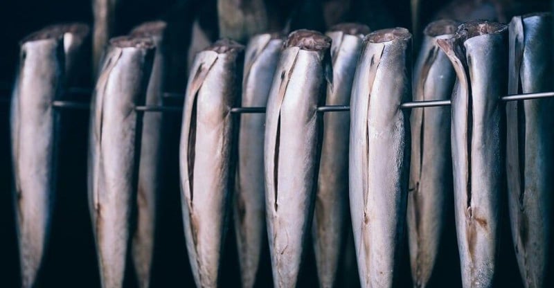 Eighty20 Highlights South Africa’s Marine Economy Growth With Robust Fish Export Performance