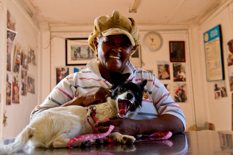 Animal Clinic and Shelter Celebrates 30 Years of Transforming Animal Welfare in Khayelitsha