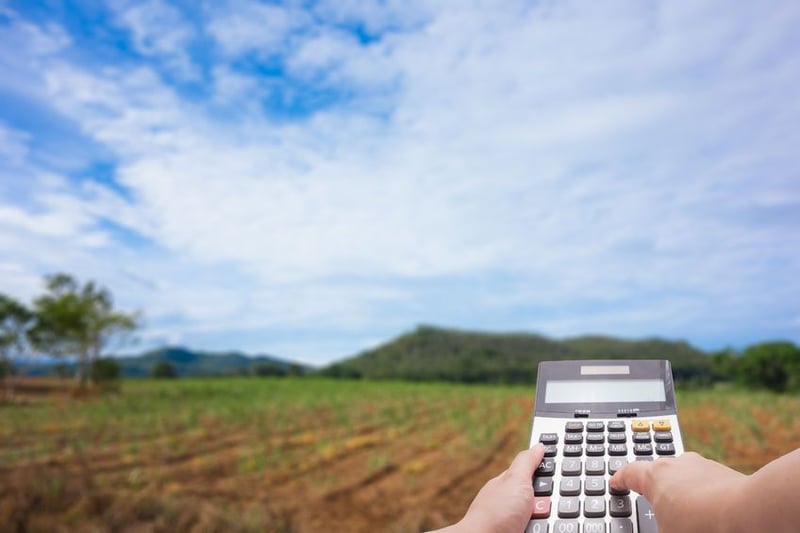 Land Bank to lead farmer finance discussions at Nampo Cape 2026, hosting three lunchtime sessions and sponsoring Livestock Tent