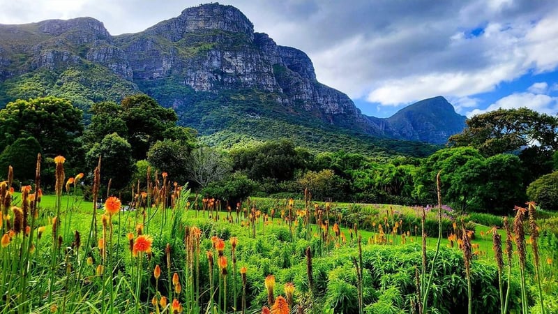 People, biodiversity, heritage and culture emerge as key drivers of South Africa’s domestic tourism