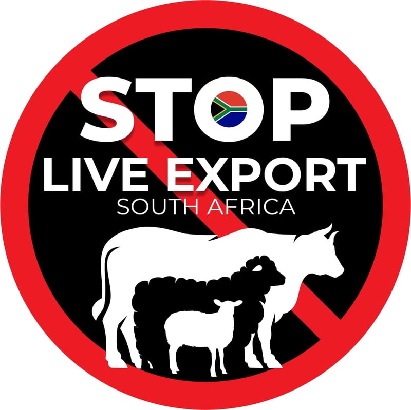 Stop Live Export SA and CIWF Call for Public Action on Draft Rules Allowing Live Animal Sea Transport