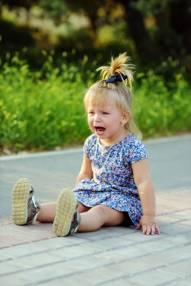 Teaching Toddlers to Tame Big Feelings