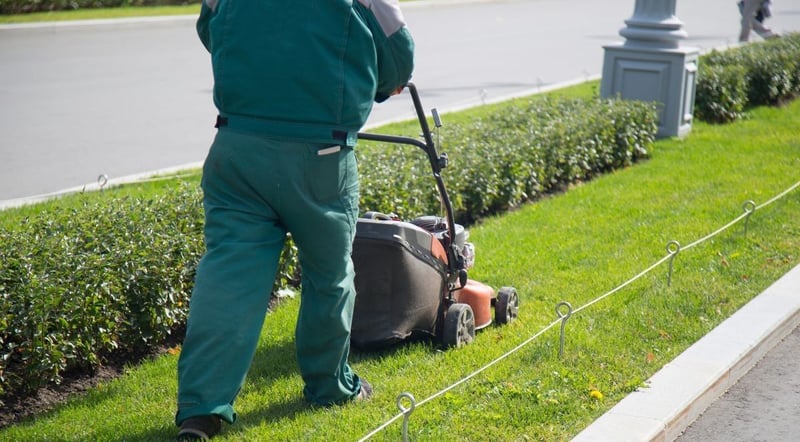 Green Cube Maintenance & Landscaping Releases Commercial Garden Maintenance Guide for Facilities Managers in Pretoria