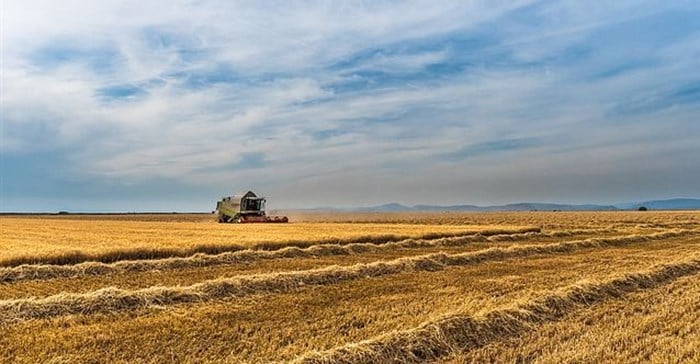 South African Farmers Confront Rising Climate Volatility Highlighted In Latest Santam Insurance Report