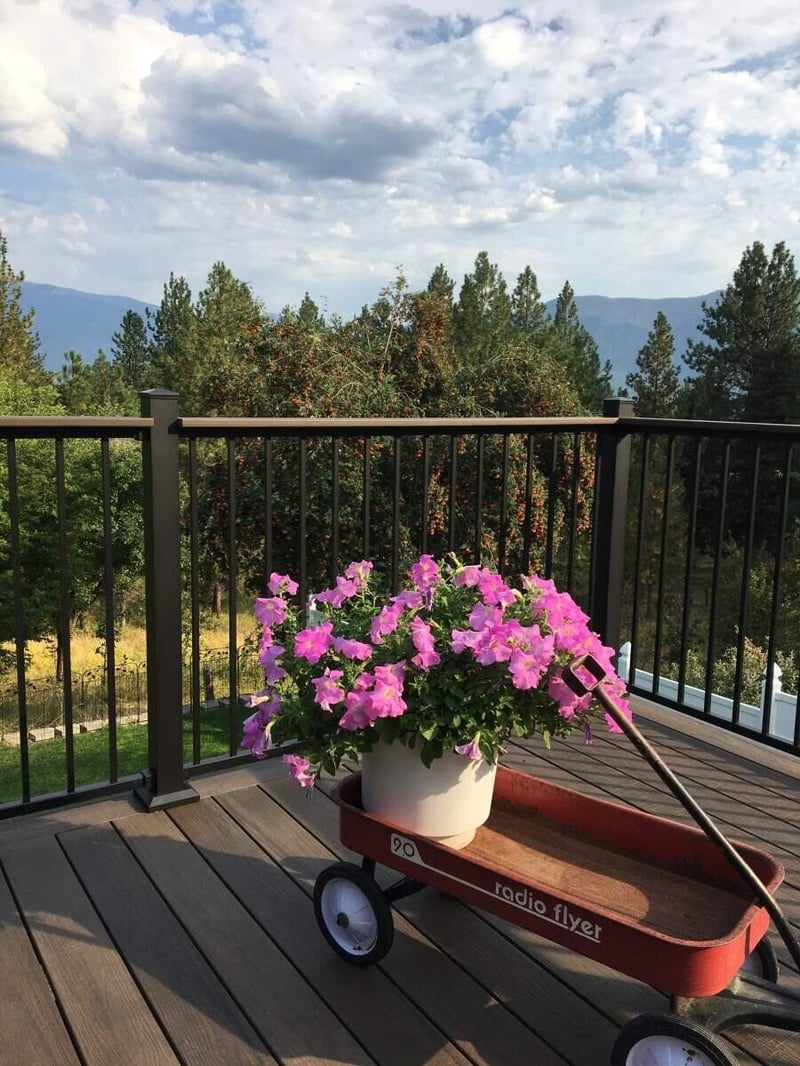 Redefining railing for residential applications