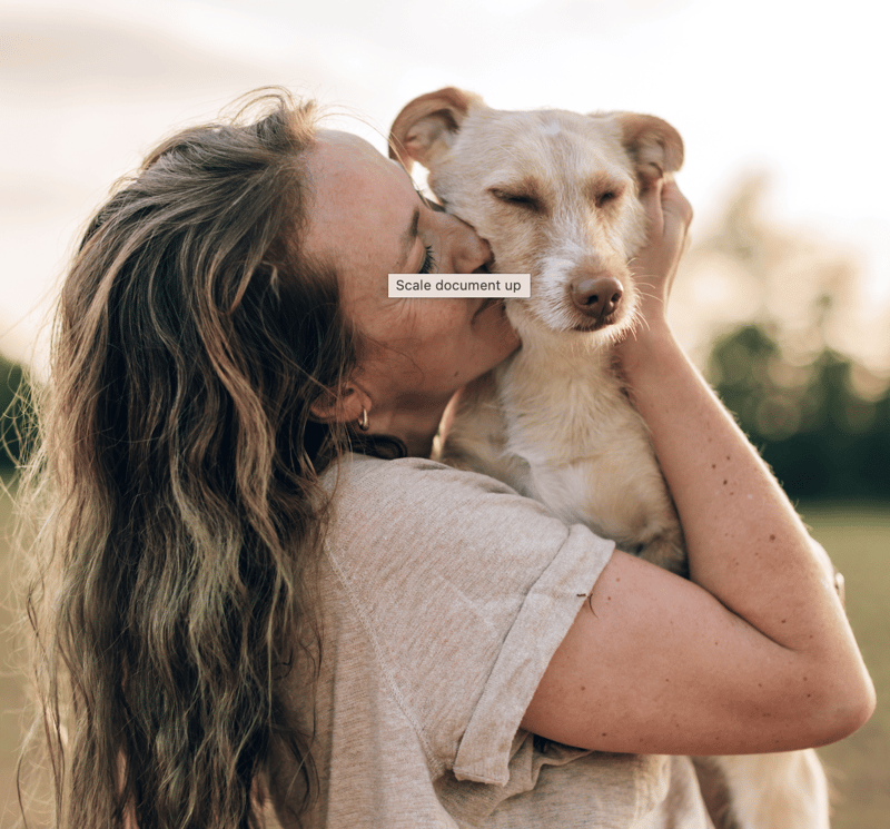 Mr D Expands Pet Care Offering with Absolute Pets Partnership