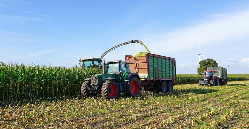 South Africa Eyes Biofuels Expansion To Boost Employment And Agricultural Stability